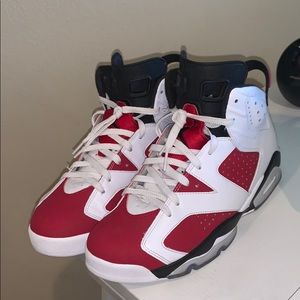 Jordan 6s Carmines